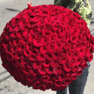 Букет 201 красная роза с упаковкой R913